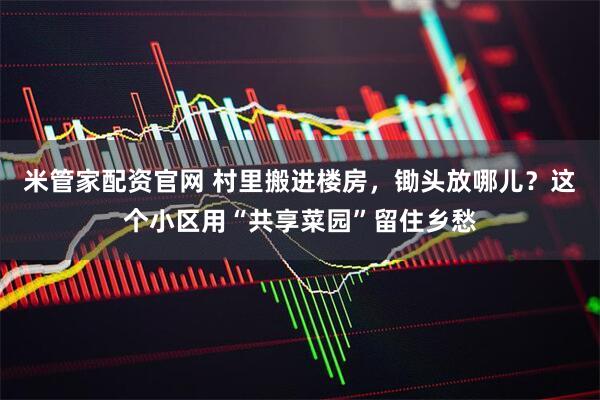 米管家配资官网 村里搬进楼房，锄头放哪儿？这个小区用“共享菜园”留住乡愁