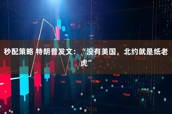 秒配策略 特朗普发文：“没有美国，北约就是纸老虎”