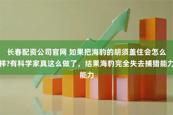 长春配资公司官网 如果把海豹的胡须盖住会怎么样?有科学家真这么做了，结果海豹完全失去捕猎能力