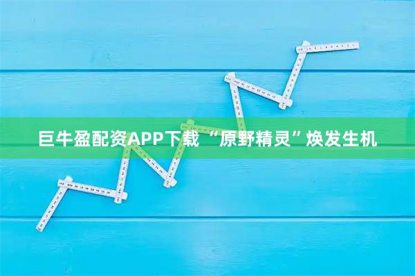 巨牛盈配资APP下载 “原野精灵”焕发生机