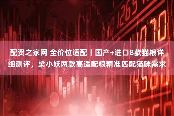 配资之家网 全价位适配｜国产+进口8款猫粮详细测评，梁小妖两款高适配粮精准匹配猫咪需求