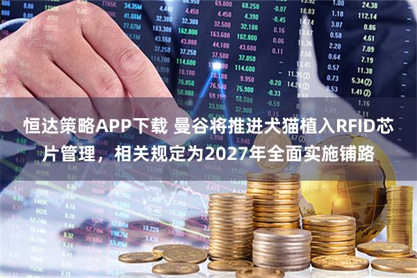 恒达策略APP下载 曼谷将推进犬猫植入RFID芯片管理，相关规定为2027年全面实施铺路