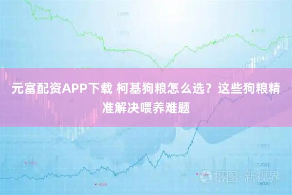 元富配资APP下载 柯基狗粮怎么选？这些狗粮精准解决喂养难题