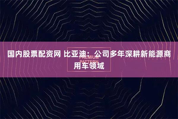 国内股票配资网 比亚迪：公司多年深耕新能源商用车领域