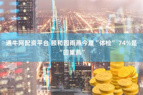 通牛网配资平台 颐和园雨燕今晨“体检” 74%是“回巢燕”